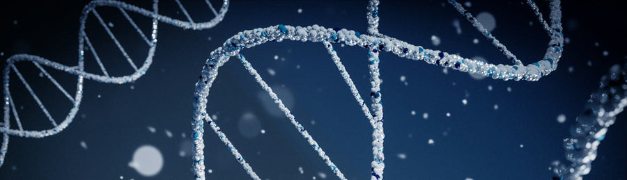 Pharmacogenetics helps to find right psychiatric medication and dose