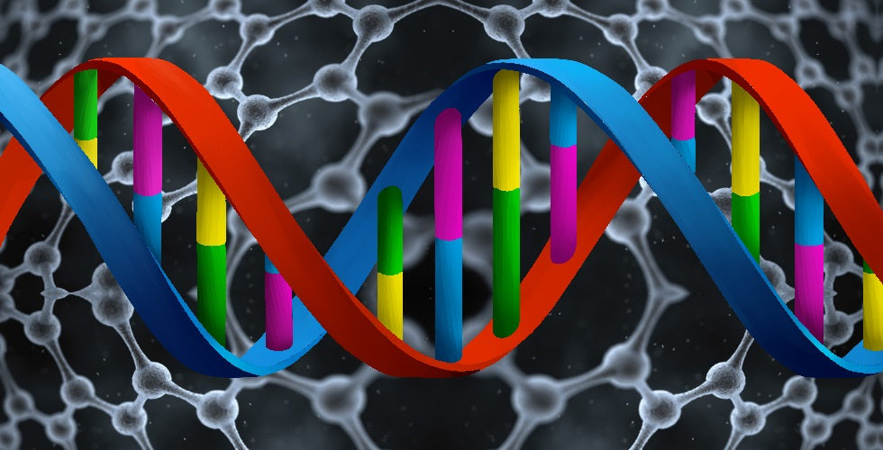 Precision in Genetic Testing: High-definition for more accurate results and better outcomes