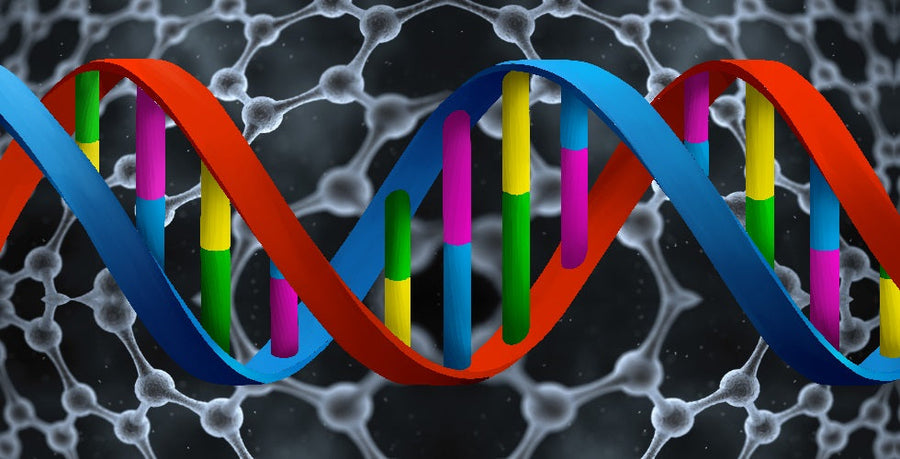 Precision in Genetic Testing: High-definition for more accurate results and better outcomes