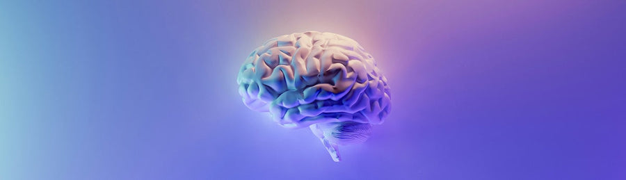 Your DNA and MS treatment: New personalized medicine options