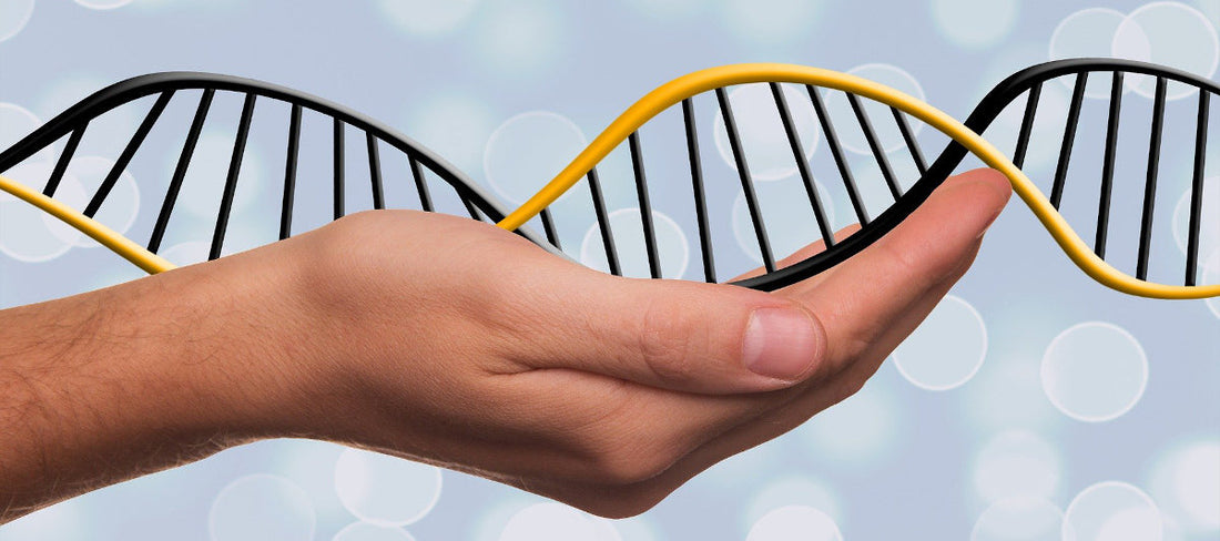 Personalized medicine: Improved mental health treatment guided by DNA