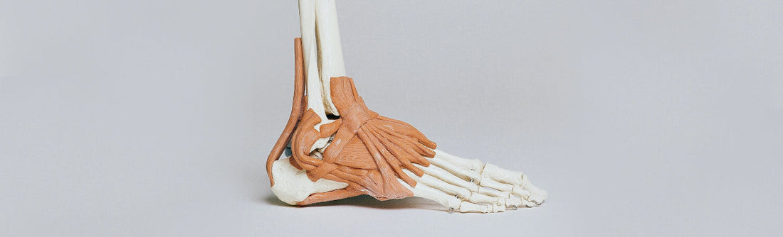 Tendonitis or Achilles tendon rupture? Check your medications and DNA.