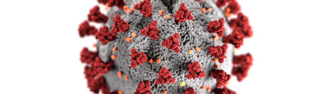 TECTA: use of proton pump inhibitors can increase the risk of COVID-19 infection