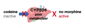 codeine CYP2D6 poor metabolizer